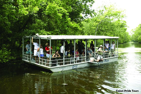 Cajun Pride Swamp Tours in LaPlace, Louisiana